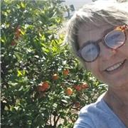 aulas presenciais e intervenções psicopedagógicas; alfabetização; reforço escolar; avaliação e intervenção psicopedagógi